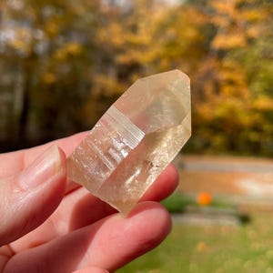 May include: A clear, light amber crystal point is held. The crystal has a faceted, geometric shape with a slightly rough texture. The background is blurred, showing autumn foliage in shades of yellow and green.