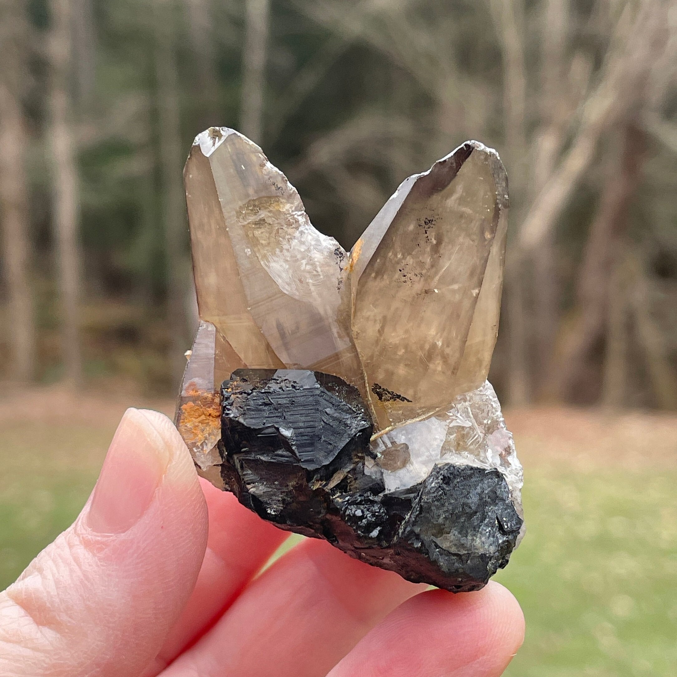 Tessin habit quartz - Etsy 日本