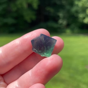 Fluorite From the 50 Year Pocket of the Rogerley Mine in