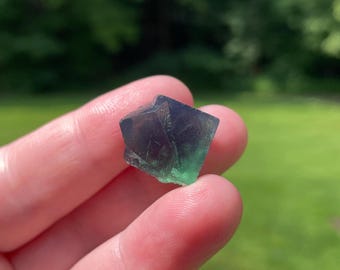 Fluorite From the 50 Year Pocket of the Rogerley Mine in