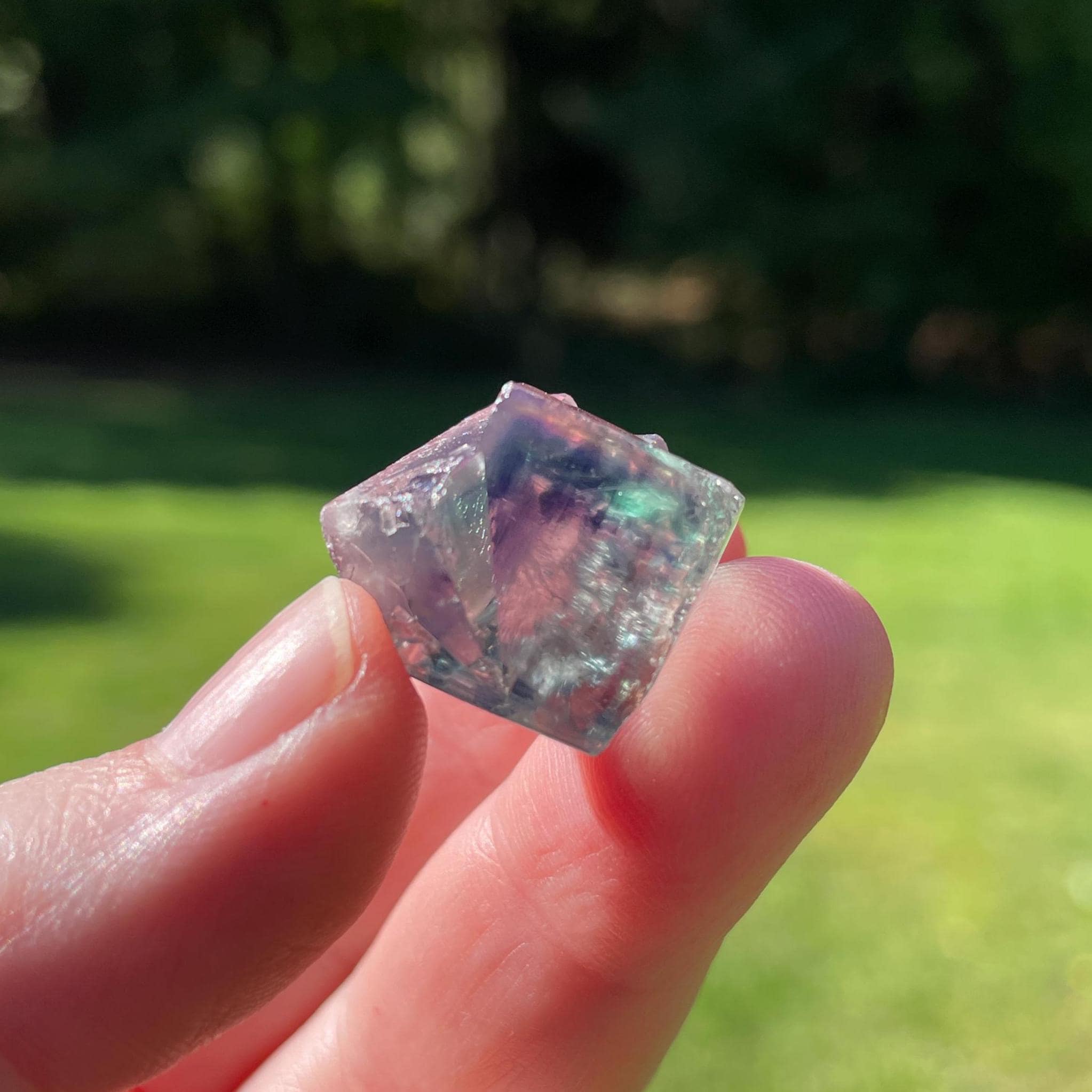 UK Lady Anabella mine Bull Vein フローライト Fluorite- Harvest Pocket, Bull Vein, Lady Annabella Mine