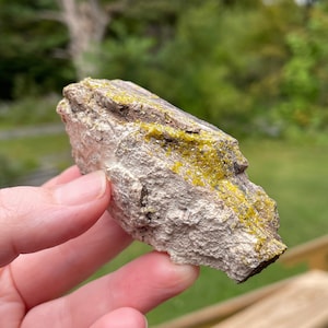 May include: A rough, irregularly shaped rock with a light gray and brown base. Bright yellow mineral deposits are visible on the surface. The rock is held in a person's hand against a blurred green background.