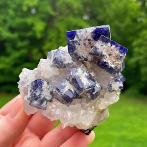 Milky Way Pocket, Big Cluster, Fluorite on Quartz, Diana Maria Mine, England, UK