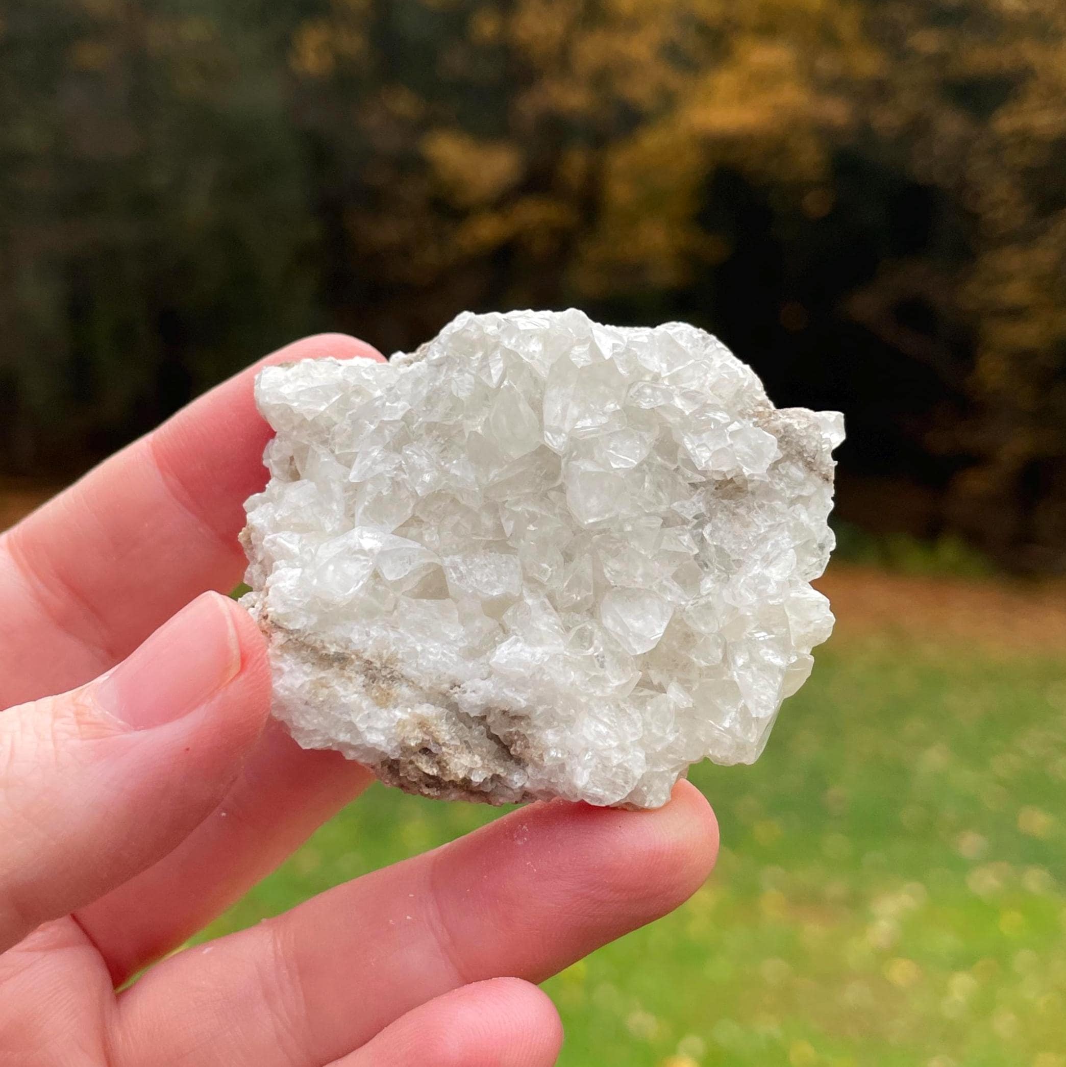 Minerva No 1 Mine - Etsy Canada