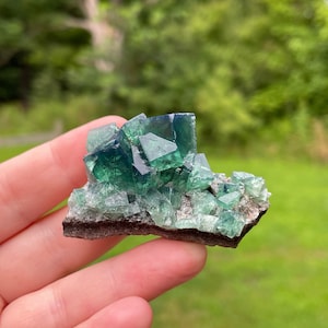 Green Fluorite Crystal Cluster, Diana Maria Mine, Greedy Hog Pocket