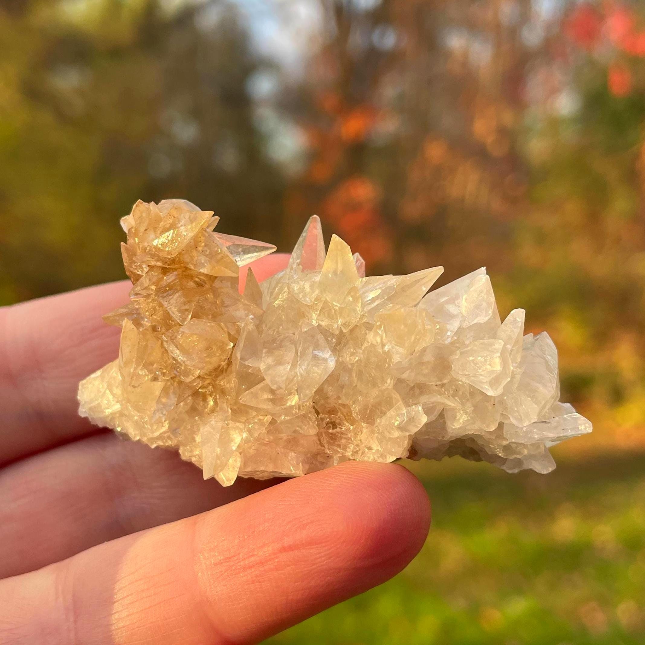 Minerva No 1 Mine - Etsy