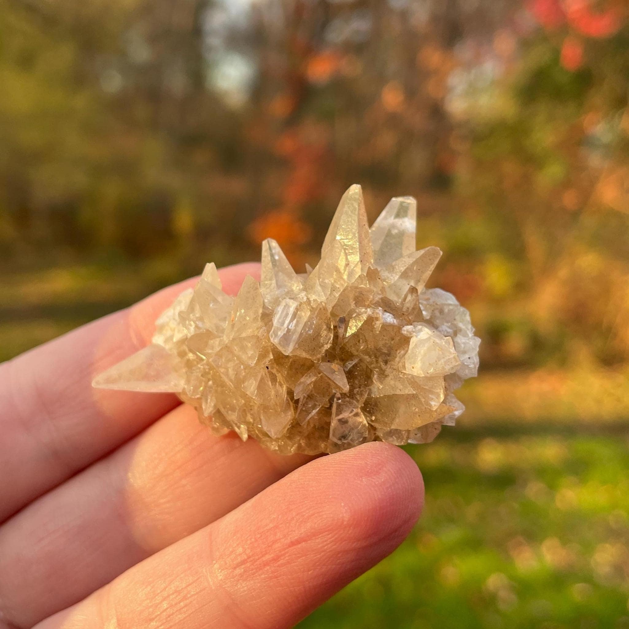 Minerva No 1 Mine - Etsy Canada