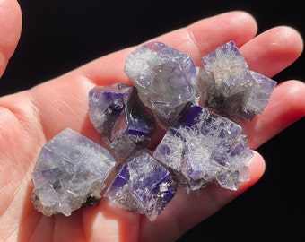 Lady Annabella Purple Fluorite, 6 Crystals