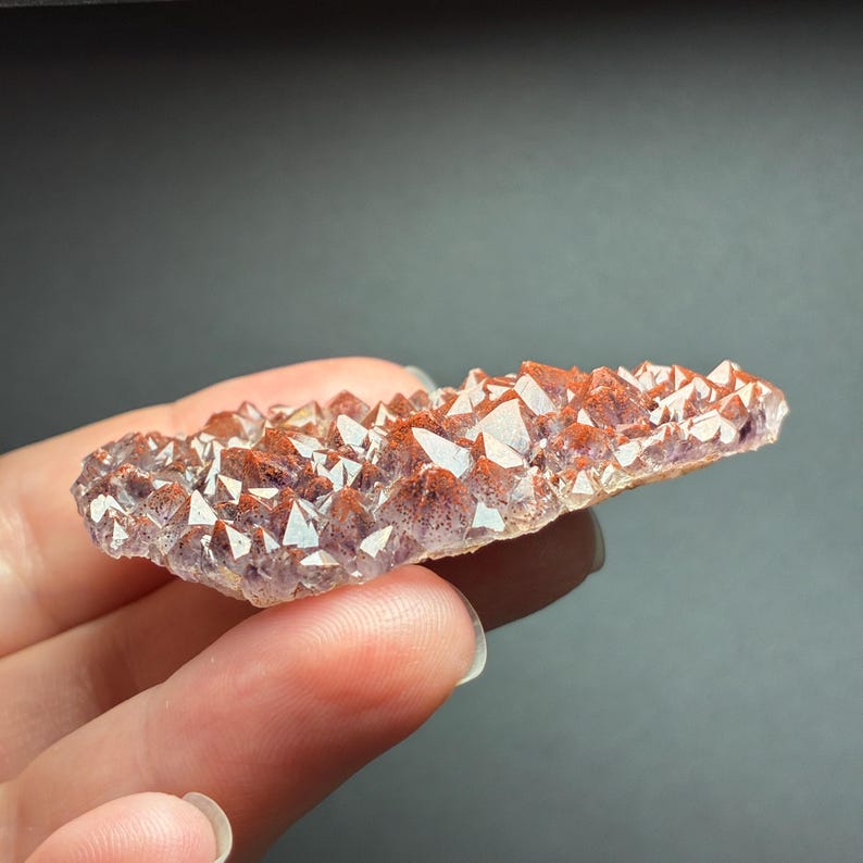 May include: A flat, elongated cluster of amethyst crystals featuring a distinct reddish-brown iron oxide coating on the tips of the points. The base of the crystal formation displays a translucent purple hue, with numerous small, sharp, multifaceted points.