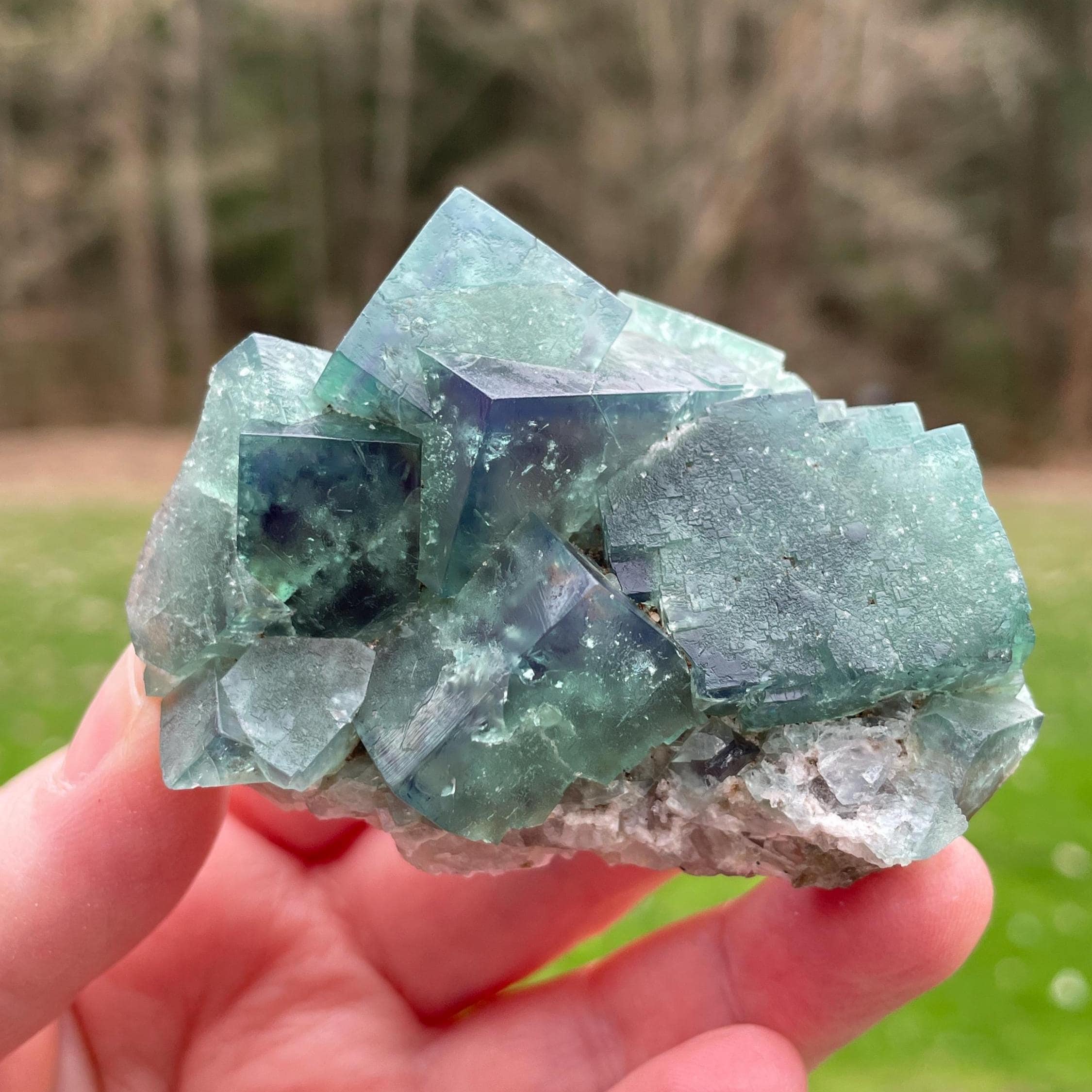 Poison Ivy Pocket, Green Fluorite Cluster, Lady Annabella, England
