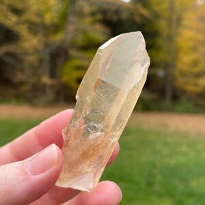 May include: A clear, golden-yellow quartz crystal with a pointed tip and rough edges. The crystal is held in a hand against a blurred background of green grass and autumn foliage. The crystal's color ranges from pale yellow to a deeper amber.