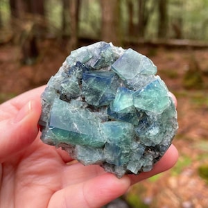 Green Fluorite Cluster, Diana Maria Mine, Northern Lights Pocket