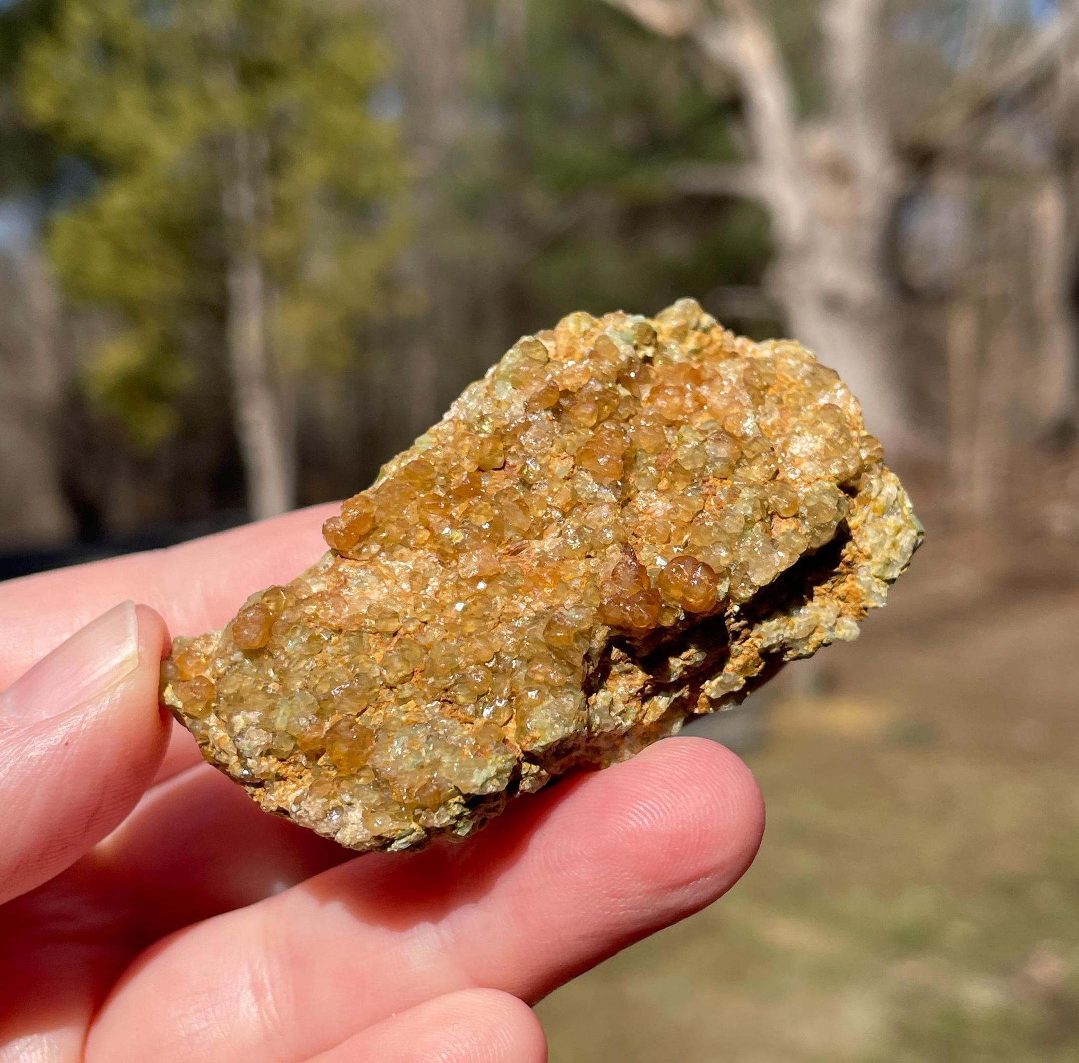 レッドヘソナイトガーネットクラスター Red Hessonite Garnet