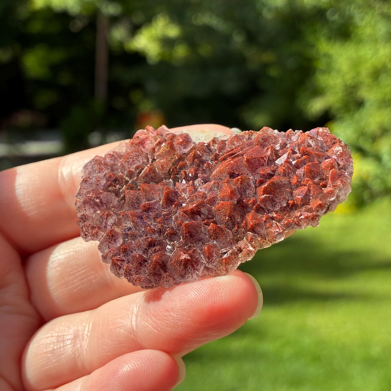 May include: A cluster of small, pointed mineral crystals with a deep reddish-brown color and a textured, sparkling surface. The specimen features numerous tiny, sharp points that catch the light, creating a dense, crystalline formation.