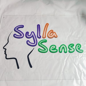 Custom Acrylic Business Logo Sign: Frosted or Clear Office Decor
