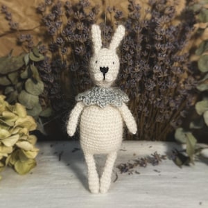 Patrón de crochet para el conejo amigurumi - Descarga instantánea en PDF