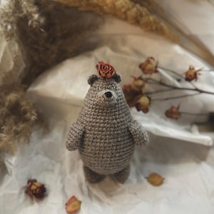 Crochet pattern for the crochet bear amigurumi - Instant download PDF File (English)