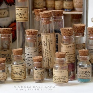 May include: A collection of small glass bottles with cork stoppers, filled with various items, including dried flowers, seeds, and other natural elements. The bottles are labeled with handwritten text, including "Specimen", "No. 2419", and "MSRT MAGIC".