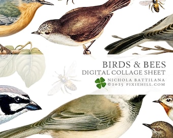 Birds and Bees Downloadable PDF Collage Sheet