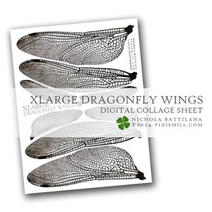 Può includere: Un foglio di collage digitale con quattro grandi ali di libellula. Le ali sono bianche e nere e hanno un motivo di venature dettagliato. Il foglio è intitolato "XLARGE DRAGONFLY WINGS DIGITAL COLLAGE SHEET" e include il nome dell'artista e il suo sito web.