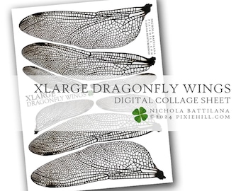 XLARGE Dragonfly Wings Over-sized Digital Download Collage Sheet PDF