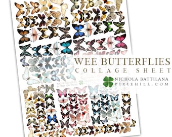 Wee Assorted Butterflies Downloadable PDF Collage Sheet