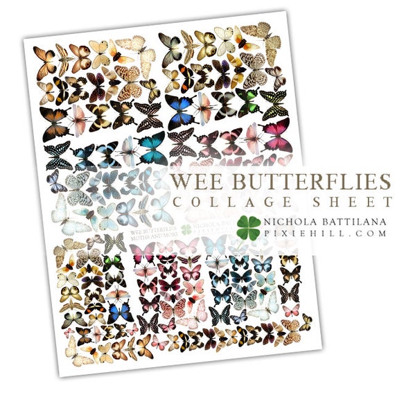 Wee Assorted Butterflies Downloadable PDF Collage Sheet