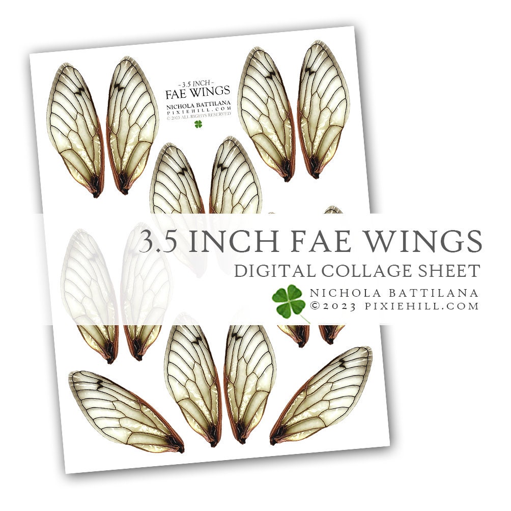 3.5" Inch Fae Wings Digital Download Collage Sheet PDF Faerie Fairy