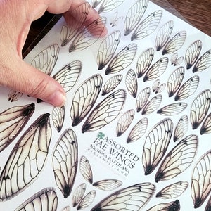 FULL SHEET Fae Fairy Faerie Wings - Assorted sizes 0.5&quot; - 3.5&quot;