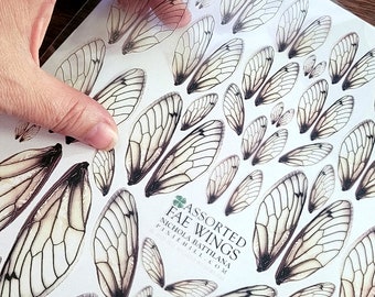 FULL SHEET Fae Fairy Faerie Wings - Assorted sizes 0.5" - 3.5"