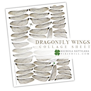 May include: A printable collage sheet featuring 30 dragonfly wings. The wings are detailed and realistic, with intricate veins and patterns. The sheet is titled "Dragonfly Wings Collage Sheet" and includes the artist's name and website.
