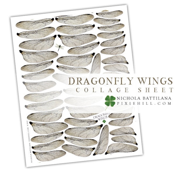 Dragonfly Wings Digital Download Collage Sheet PDF