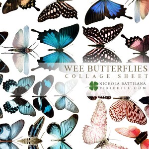 May include: A collage sheet featuring various butterfly illustrations in shades of blue, pink, brown, and black, set against a white background. The text "WEE BUTTERFLIES COLLAGE SHEET" is visible. The artist's name and website are also included.
