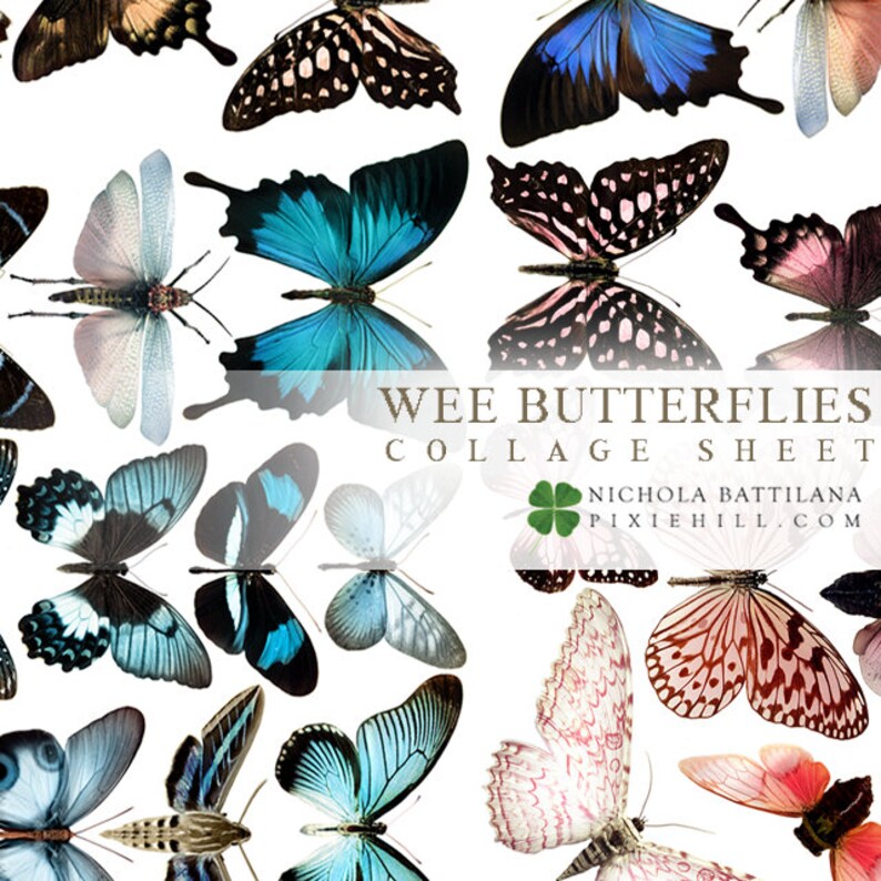 May include: A collage sheet featuring various butterfly illustrations in shades of blue, pink, brown, and black, set against a white background. The text "WEE BUTTERFLIES COLLAGE SHEET" is visible. The artist's name and website are also included.