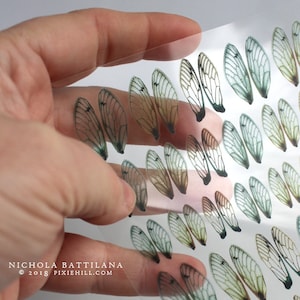 Arkusz kolażowy z przezroczystą grafiką Wee Wings
