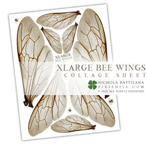 May include: A sheet of printable bee wings for crafting. The sheet features eight large bee wings in a collage style. The wings are translucent and have a detailed vein pattern. The text "XLARGE BEE WINGS COLLAGE SHEET" is printed at the top of the sheet. The text "NICHOLA BATTILANA PIXIEHILL.COM © 2022 ALL RIGHTS RESERVED" is printed at the bottom of the sheet.