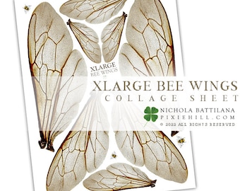 XLARGE Bee Wings Over-sized Bumblebee Wings Digital Download Collage Sheet PDF