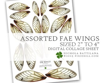 Fae Wings Collage Sheet: 2-4" Assorted Sizes (PDF, PNG)