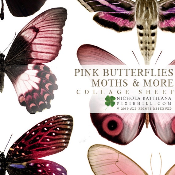 Pink Butterflies Downloadable PDF Collage Sheet | Etsy