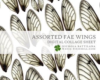 Fae Wings Digital Download Collage Sheet PDF Faerie Fairy *Fairy Crown*