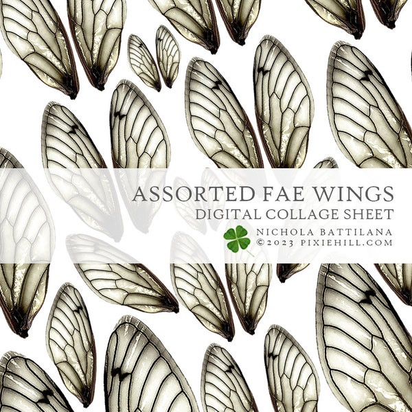 Fae Wings Digital Download Collage Sheet PDF Faerie Fairy *Fairy Crown*