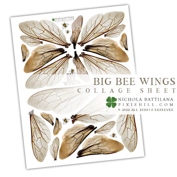 BIG Bee Wings Over-sized Bumblebee Wings Digital Download Collage Sheet PDF