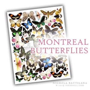 Montreal Butterflies Downloadable PDF Collage Sheet image 1