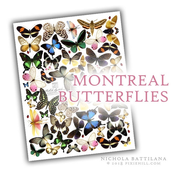Montreal Butterflies Downloadable PDF Collage Sheet