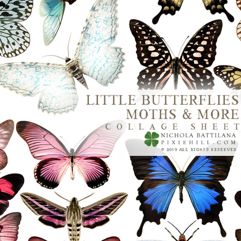 Little Assorted Butterflies Downloadable PDF Collage Sheet - Etsy