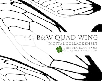 Fairy Wings Digital Download: Black and White Quad Wing Collage (4.5")