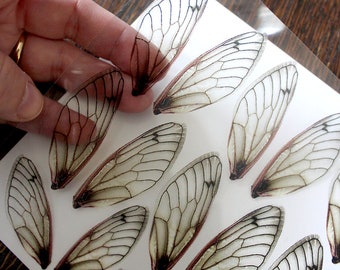 Printed Fae Fairy Wings on Transparency Collage Sheet