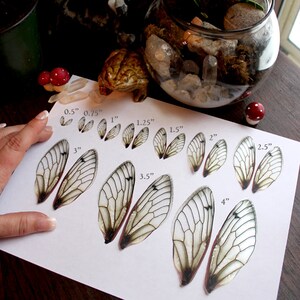 2" Inch Fae Wings Digital Download Collage Sheet PDF Faerie Fairy - Etsy