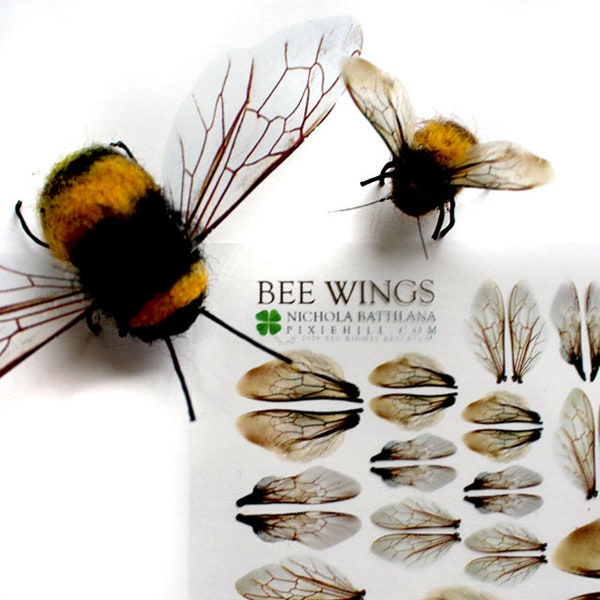 Printed Bee Wings on Transparency Collage Sheet - Standard Size