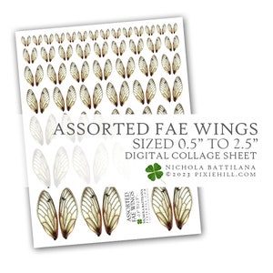 May include: A digital collage sheet featuring assorted fairy wings in various sizes, ranging from 0.5 inches to 2.5 inches. The wings are depicted in a light brown and white colour scheme, with intricate details and delicate veins.